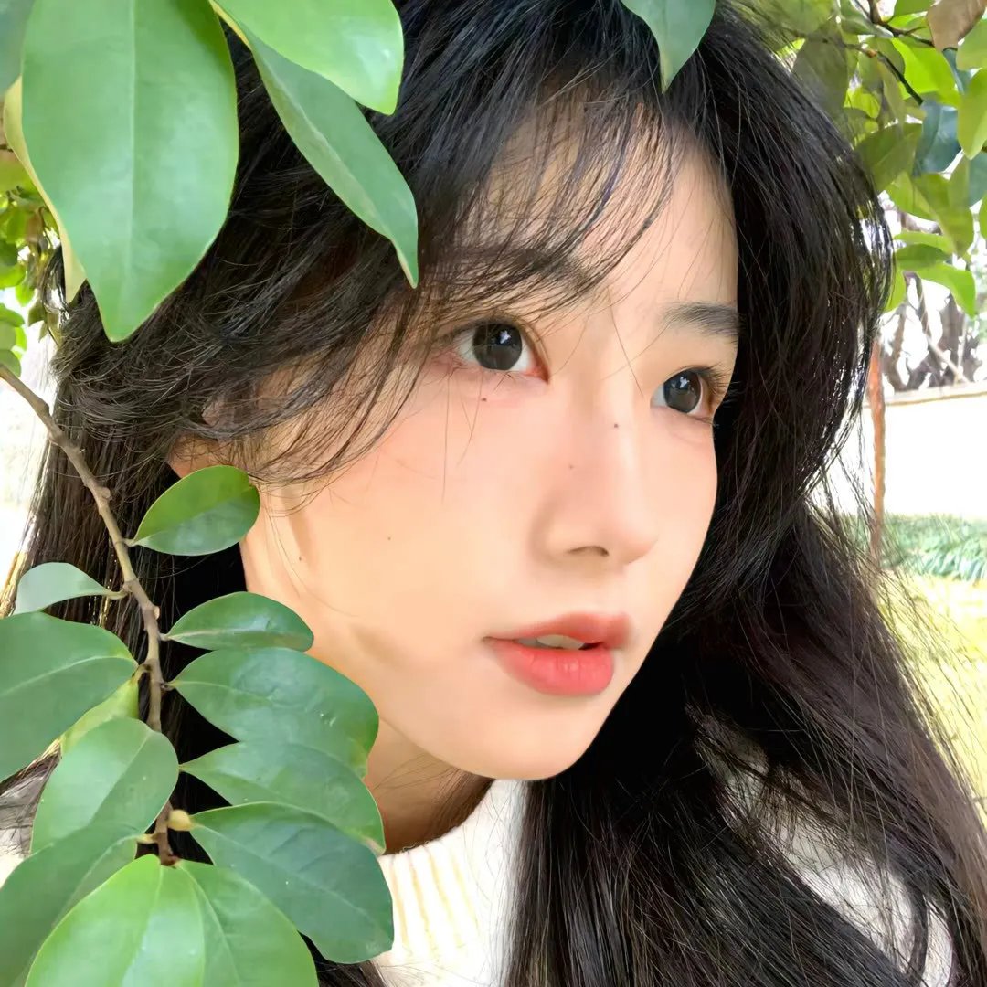 迎风伫立的狮子